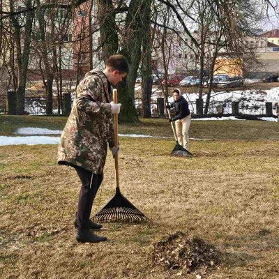 изображение_viber_2026-03-11_12-01-18-168